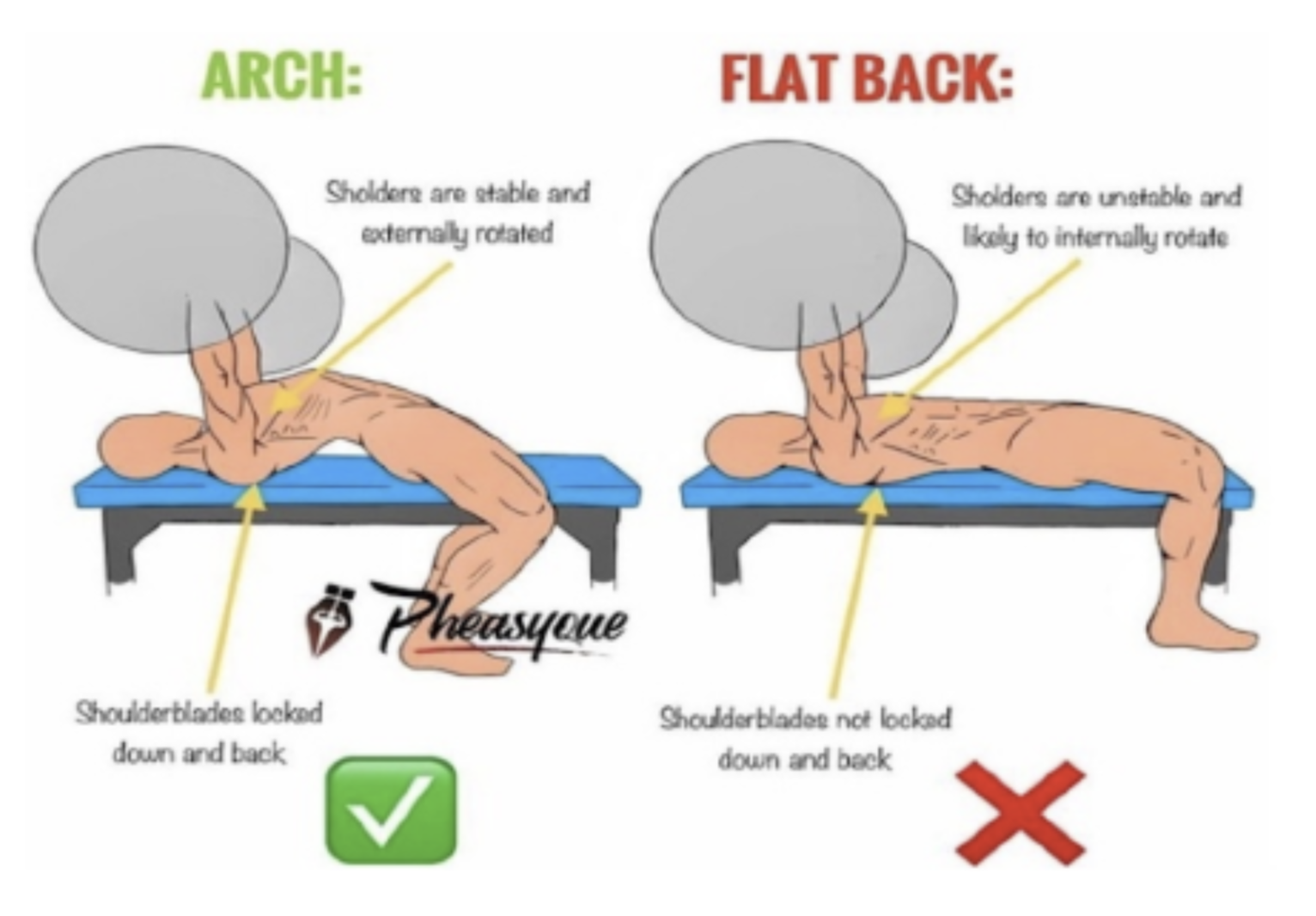 Your Bench Press Questions, Answered! - fitblissfitness.com