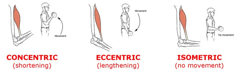 concentric-eccentric-isometric-tempo-what-does-it-all-mean